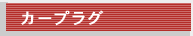 カープラグ